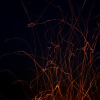 fireflies_groot1