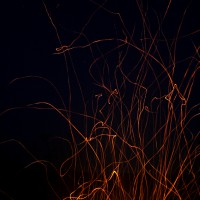 fireflies_groot1