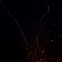 fireflies_groot3