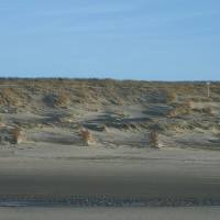 duinen