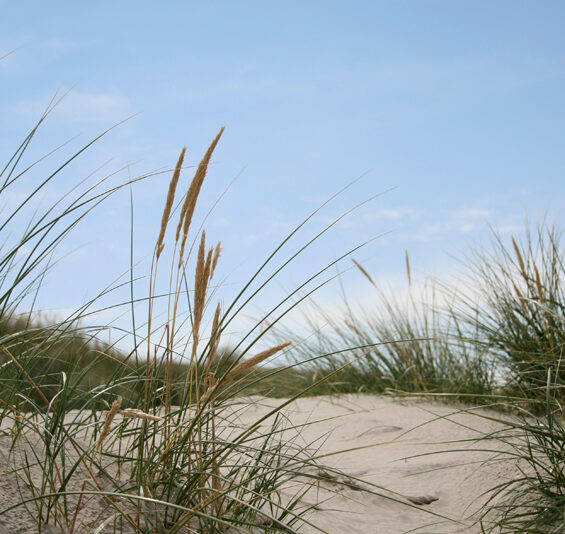 Weer thuis!
