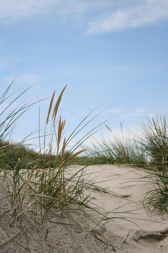 Weer thuis!