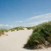 In de duinen bij Hoorn