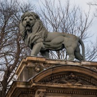 Leeuw op het Place du Trone in Brussel