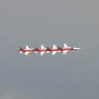 Patrouille Suise (Luchtmachtdagen 2013)