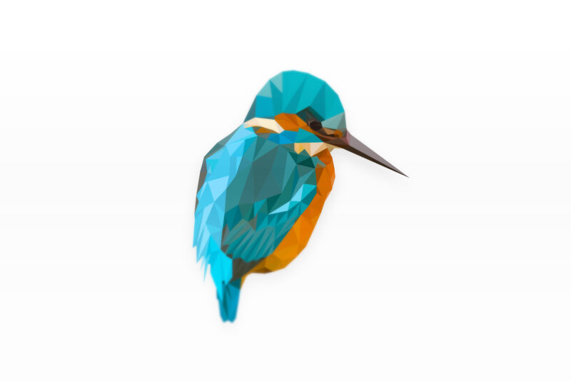 IJsvogel in vector