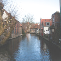 Brugge-2016-greentea-4078