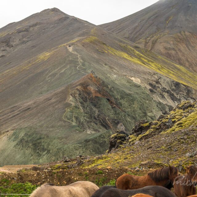 Landmannalaugar