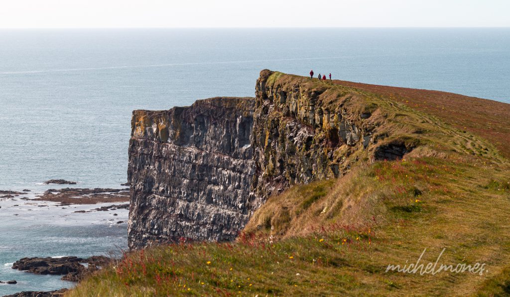 Latrabjarg, de bekendste broedplaats in IJsland voor papegaaiduikers en andere zeevogels. 